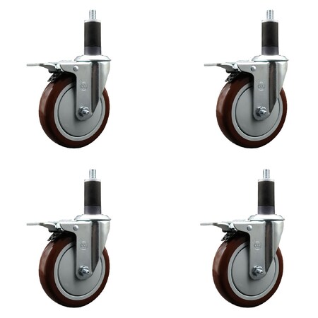 Service Caster 5'' SS Maroon Poly Swivel 1-1/4'' Expanding Stem Caster Set Total Lock Brake, 4PK SCC-SSEXTTL20S514-PPUB-MRN-114-4